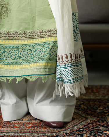 White Embroidered Farshi Shalwar - W5
